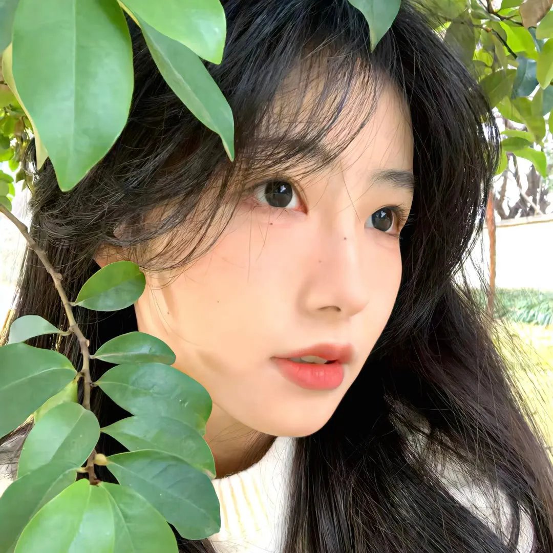千日的约定